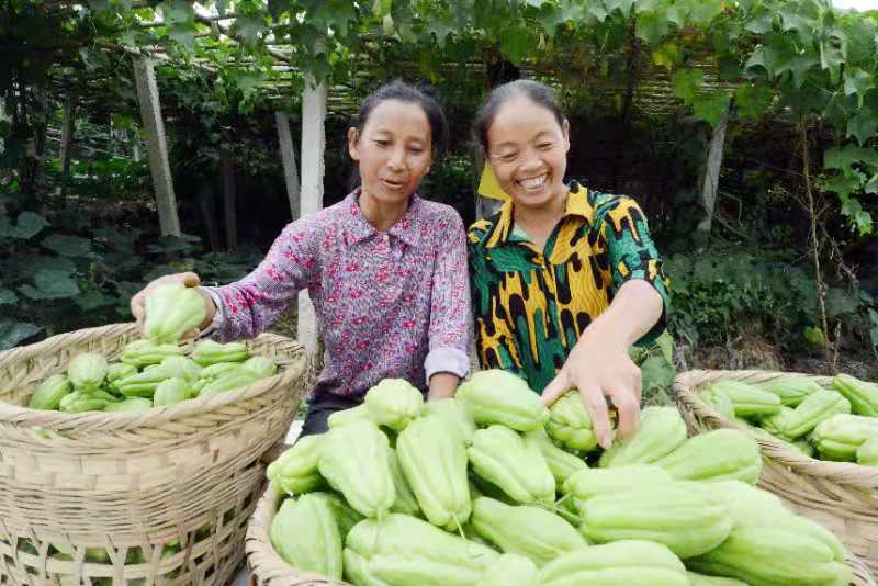 1607311263950546.jpg 1607311263950546.jpg