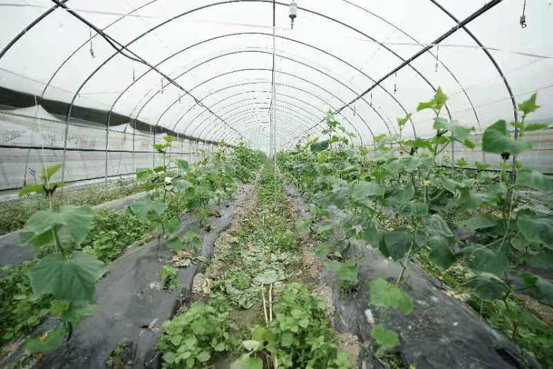 1607311510219240.jpg 1607311510219240.jpg