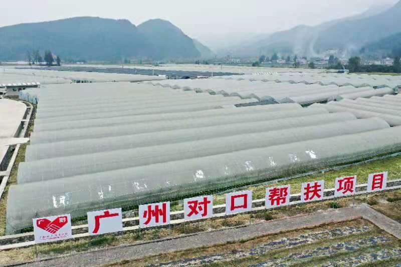 1607311523132786.jpg 1607311523132786.jpg