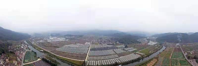 1607311537450029.jpg 1607311537450029.jpg