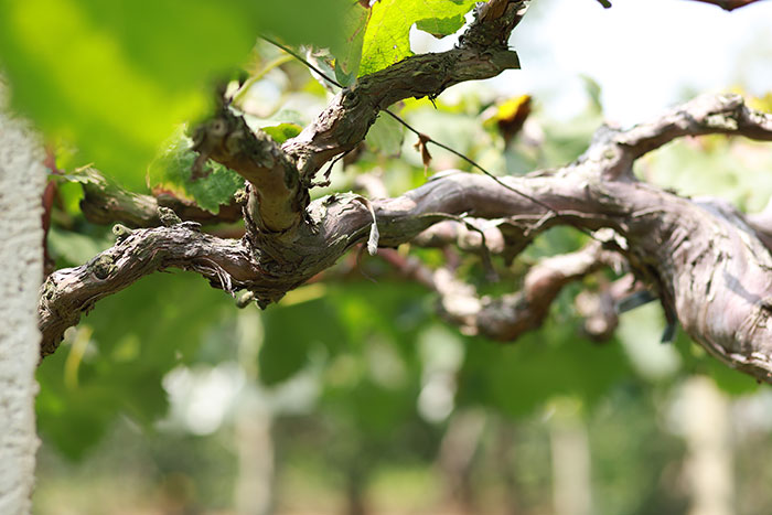 IMG_0814.jpg IMG_0814.jpg